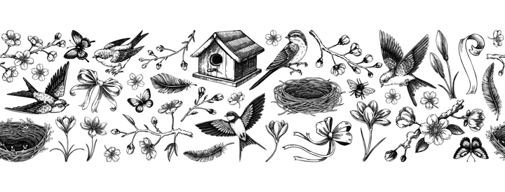Hand drawn spring background. Seamless ribbon. Flying birds, sakura flowers, birdhouse, saffron vector sketch illustration. Easter pattern. NOT AI generated